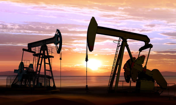India's strategic oil reserves cover only 9-10 days of crude imports: Report